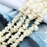 Irregular Mother Of Pearls Shell Beads Freshwater DIY Ornament