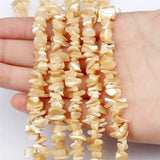 Irregular Mother Of Pearls Shell Beads Freshwater DIY Ornament