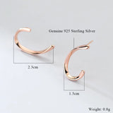 Sterling Silver Irregular Stud Earrings for Women