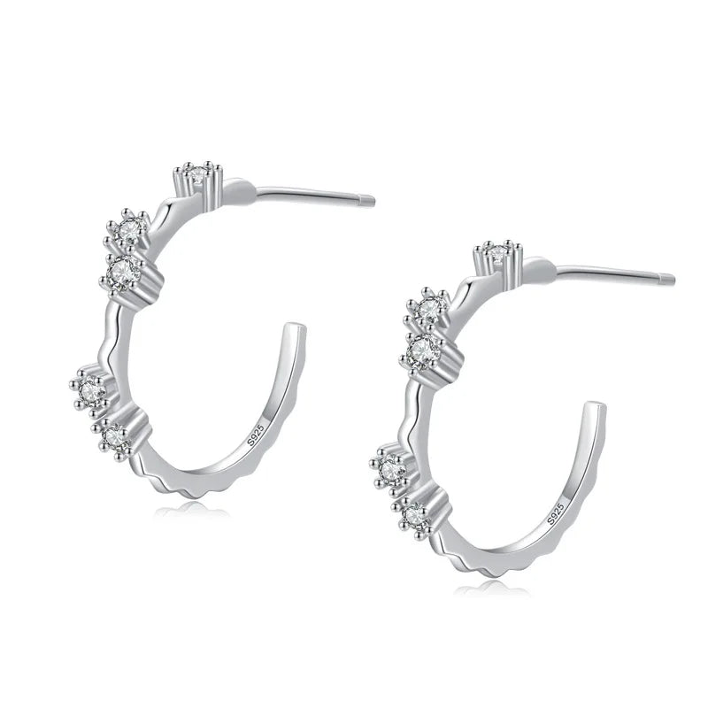 925 Silver Flowers Branches Ear Stud Women Wedding Engagement Jewelry