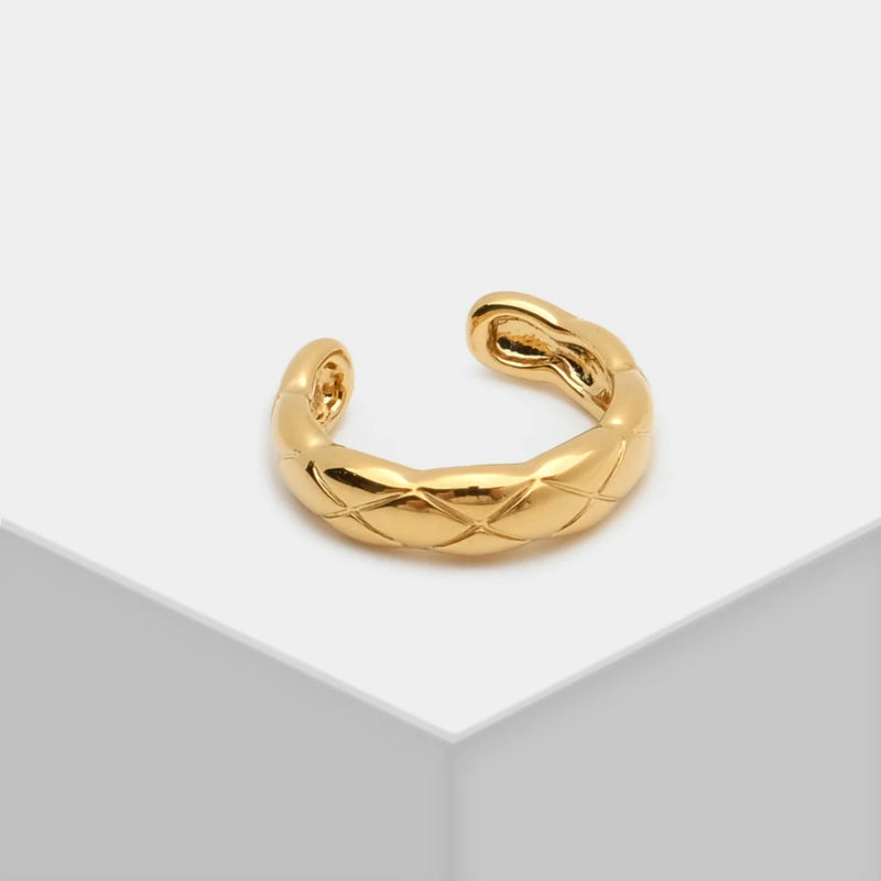 Grain Concise Style Earring Clip