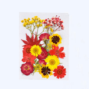 DIY Dried Flowers Natural Real Dry Plants Resin Jewelry Making