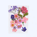 DIY Dried Flowers Natural Real Dry Plants Resin Jewelry Making