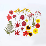 DIY Dried Flowers Natural Real Dry Plants Resin Jewelry Making