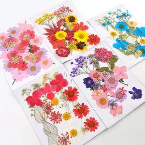 DIY Dried Flowers Natural Real Dry Plants Resin Jewelry Making