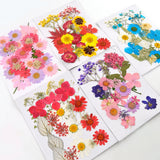 DIY Dried Flowers Natural Real Dry Plants Resin Jewelry Making