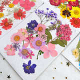 DIY Dried Flowers Natural Real Dry Plants Resin Jewelry Making