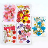 DIY Dried Flowers Natural Real Dry Plants Resin Jewelry Making