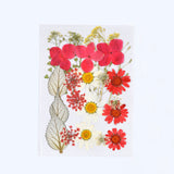 DIY Dried Flowers Natural Real Dry Plants Resin Jewelry Making