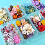 1Box Natural Dried Flowers For Candle Making, Resin Craft