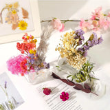 1Box Natural Dried Flowers For Candle Making, Resin Craft
