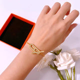 Charm Chains Bangle Bracelet with CZ Pig Nose for Women