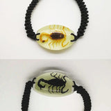 Luminous Scorpion Men's Bracelet