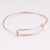 Stainless Steel Bangle AA2150