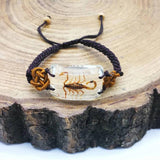 Scorpion Man's Yellow Bracelet with Real Scorpion Jewelry