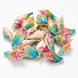Threaded Seashells for Jewelry Making DIY Earring Charms 3-10pcs