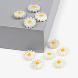 Natural Daisy Shell Bead Cut Mother of Pearl Shell Charms Beads