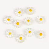 Natural Daisy Shell Bead Cut Mother of Pearl Shell Charms Beads