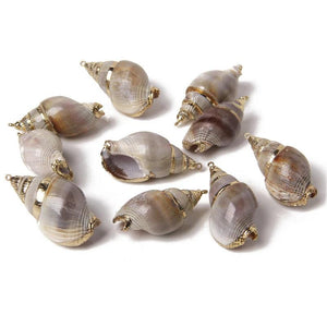 Spiral Sea Shell Charms for Jewelry Making