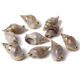 Spiral Sea Shell Charms for Jewelry Making