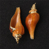 Spiral Sea Shell Charms for Jewelry Making