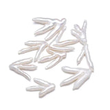 Natural Freshwater Pearl Pendant Punch Loose Beads for DIY Jewelry Making