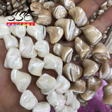 Irregular Trochus Shell Beads for Jewelry Making DIY