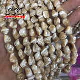Irregular Trochus Shell Beads for Jewelry Making DIY