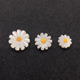 Natural Sunflower Shell Beads for Jewelry Making DIY Necklace Earrings