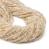 Tiny 2 3 4 MM Shell Beads Small Round for Jewelry Making DIY