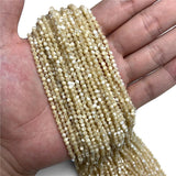 Tiny 2 3 4 MM Shell Beads Small Round for Jewelry Making DIY