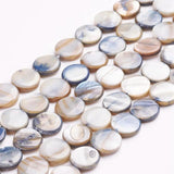 40pcs Gray Freshwater Shell Beads 10x10mm DIY Jewelry Making Strand