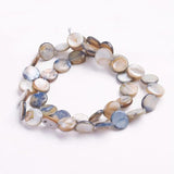 40pcs Gray Freshwater Shell Beads 10x10mm DIY Jewelry Making Strand