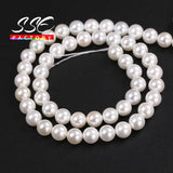 Shell Pearl Round Beads 2-16MM for Jewelry Making