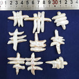 1pc Natural Freshwater Baroque Pearl Fishbone Loose Beads for DIY Jewelry