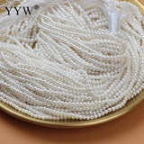 2mm Rice Shape Punch Sea Shell Beads for DIY Jewelry Making