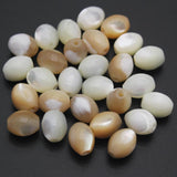 Natural Horseshoe Snail Shell Oval Rice Beads Loose Spacer Bead