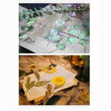 12PCS Large Dried Flowers Collage Bookmark Gift Decor Leaves Roses