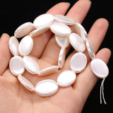 Pearls Shell Beads Oval Scattered Bead Jewelry Making