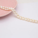Natural Freshwater Pearl Rice Beads for DIY Charm Jewelry Making
