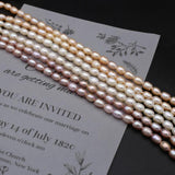 Natural Freshwater Pearl Rice Beads for DIY Charm Jewelry Making