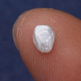 50pcs Natural Freshwater Petal Pearl Beads 6-7mm