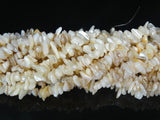 Natural Sea Shell Gems 5-8mm Chip Beads 35'' 5 Strands/Pack
