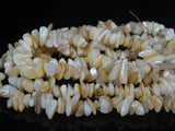 Natural Sea Shell Gems 5-8mm Chip Beads 35'' 5 Strands/Pack