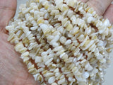Natural Sea Shell Gems 5-8mm Chip Beads 35'' 5 Strands/Pack