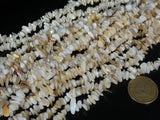 Natural Sea Shell Gems 5-8mm Chip Beads 35'' 5 Strands/Pack