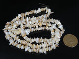 Natural Sea Shell Gems 5-8mm Chip Beads 35'' 5 Strands/Pack