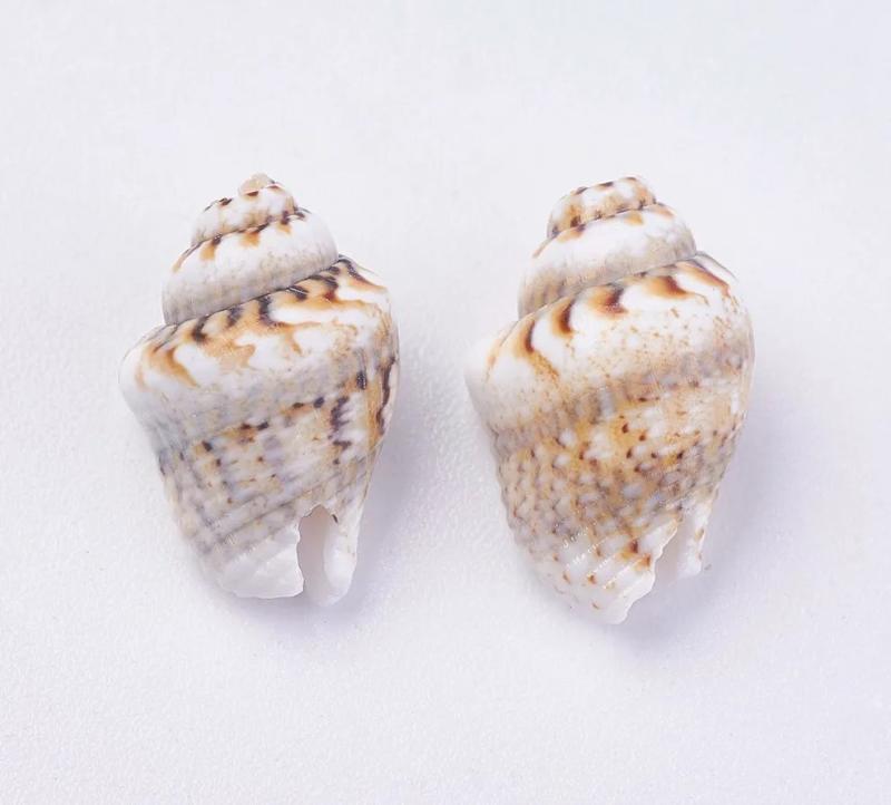 500g Natural Shell Loose Beads for Jewelry Making