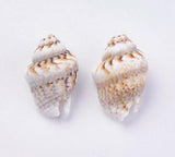 500g Natural Shell Loose Beads for Jewelry Making