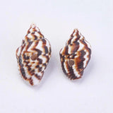 500g Natural Shell Loose Beads for Jewelry Making